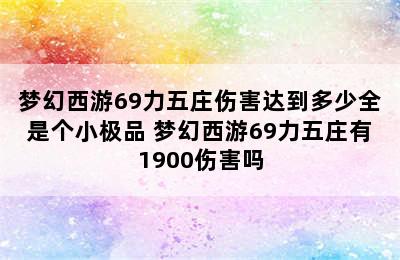 梦幻西游69力五庄伤害达到多少全是个小极品 梦幻西游69力五庄有1900伤害吗